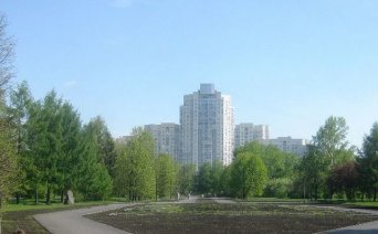 Описание изображения